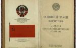Первая Конституция СССР 1924 г. (кратко)