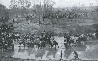 Мукденское сражение 1905 года