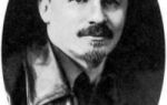 Бухарин Николай Иванович (краткая биография)